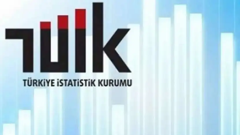 TÜİK Yurt Dışı Üretici Fiyat Endeksi verilerini açıkladı