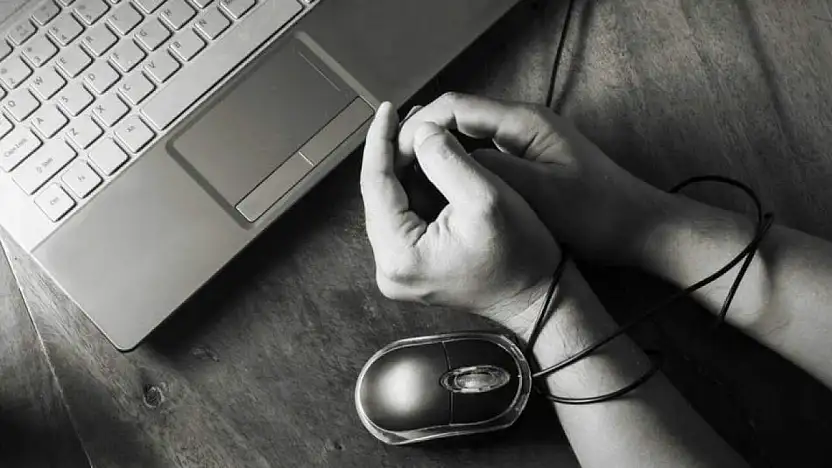 Türkiye'de İnternet Kullanımı yüzde 90'ı Aştı: E-Devlet Kullanımı yüzde 76,1'e Yükseldi