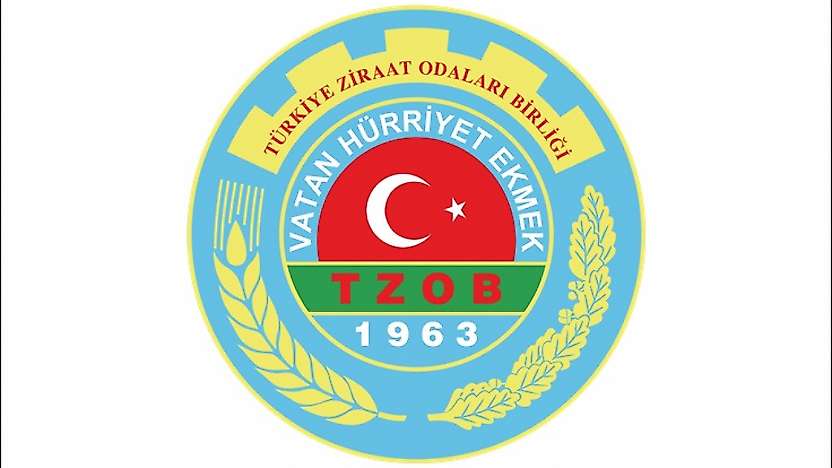 TZOB Açıkladı: Ekim Ayında Limonun Üretici ve Market Fiyatı Arasında Uçurum Oluştu!
