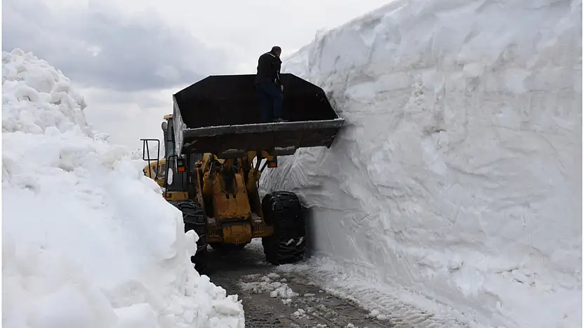 Yoğun Kar Yağışı: Düzce'de 224 Santimlik Rekor