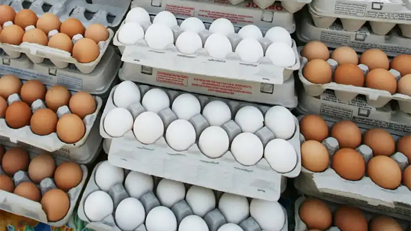 Yumurtalarda 'Tüketim Tarihi' zorunlu hale geldi