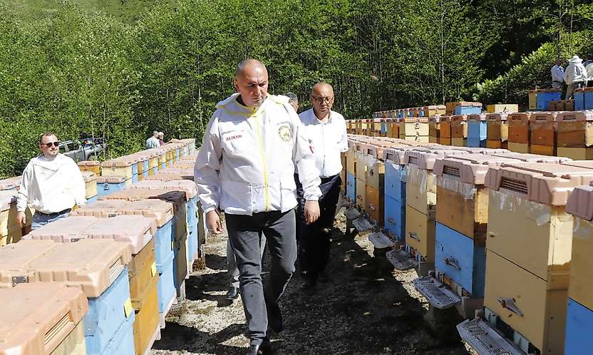 Arıcılık desteklerine yüzde 80 zam: Kovan başına destek 475 TL'ye kadar çıktı