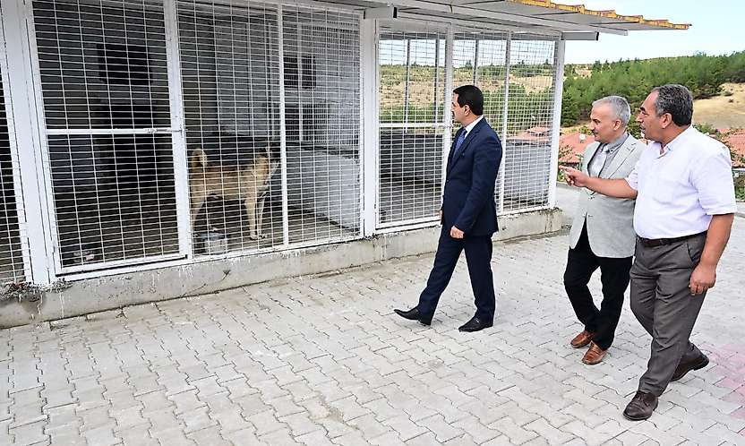 Başkan Taşkın, Hayvan Barınağında İncelemelerde Bulundu