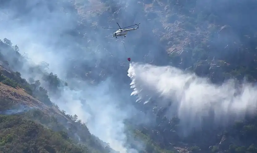 Çanakkale, Edirne ve Hatay'daki orman yangınları kontrol altına alındı