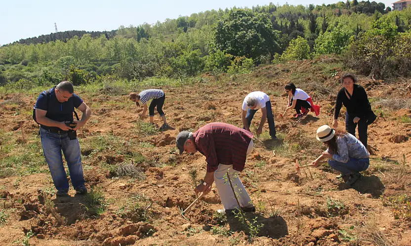 ÇEKÜL'den Doğaya Büyük Katkı: 2025'te 116 Bin Fidan Toprakla Buluştu