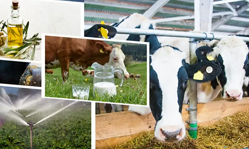 Çiftçilere tarımsal destekleme ödemesi yapılacak