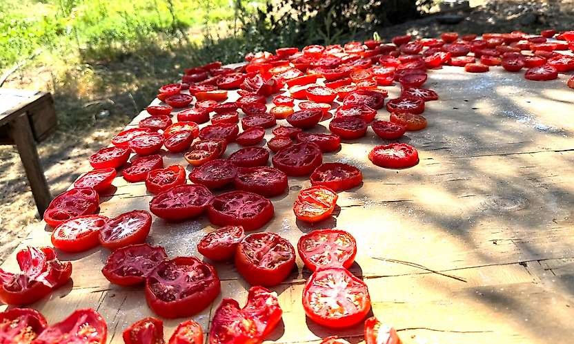 Darende'de Kış Hazırlıkları Başladı: Domates ve Biberler İşleniyor