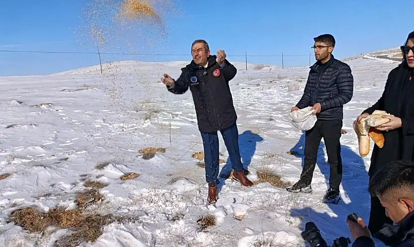 Darende'de Yaban Hayvanları İçin Kış Seferberliği