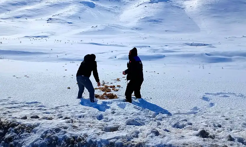 Doğanşehir'de Yaban Hayvanları İçin Kış Seferberliği
