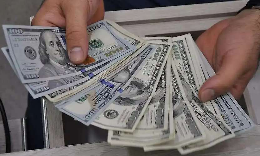 Dolar Endeksi 102 Seviyesini Aştı: Dolar/TL 49,13