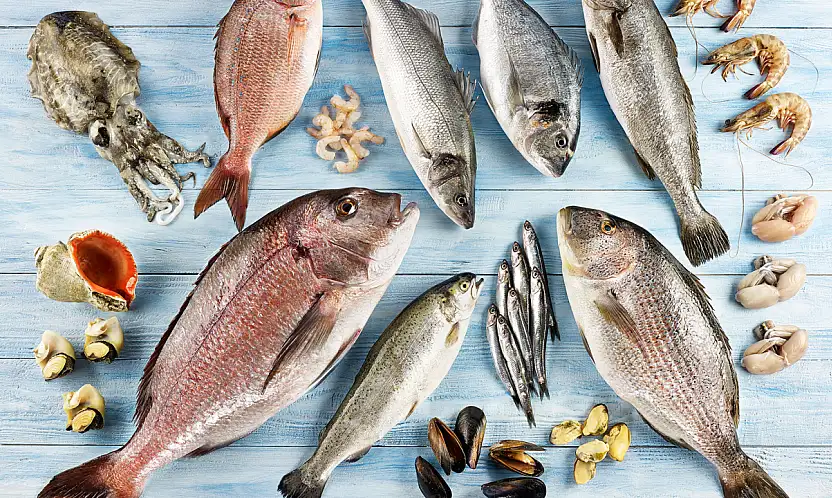 Egeli Su Ürünleri İhracatında Rekor: Ekim Ayında 179 Milyon Dolar