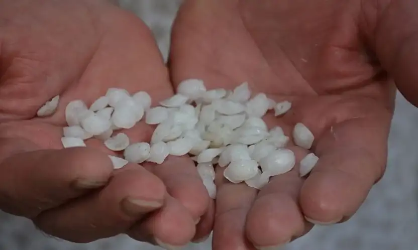 Eşkina Balığı Taşı Mucizesi mi, Yoksa Halk Arasında Yaygın Bir Efsane mi?