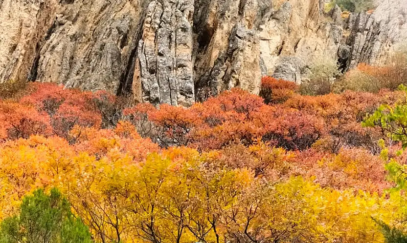 Foto Kültür Kursu ile Malatya'nın Güzellikleri Kadraja Girdi