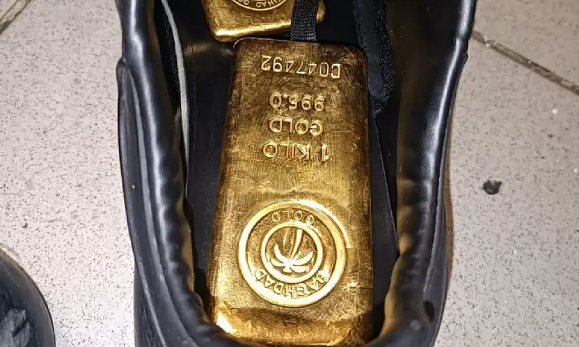 Habur Gümrük Kapısı'nda Ayakkabı İçine Gizlenmiş 41 Kilo Altın Ele Geçirildi