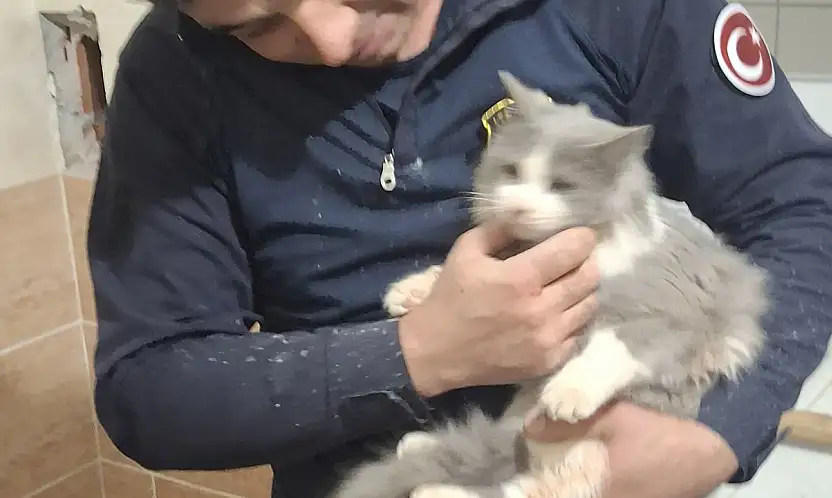 Havalandırma Boşluğuna Düşen Kedi, Titiz Operasyonla Kurtarıldı