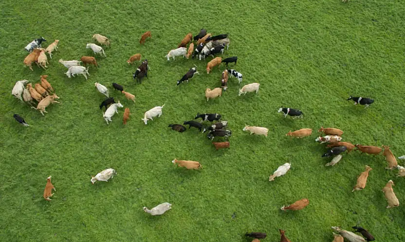 Kapasitesini Güncellemeyen Başvuramayacak