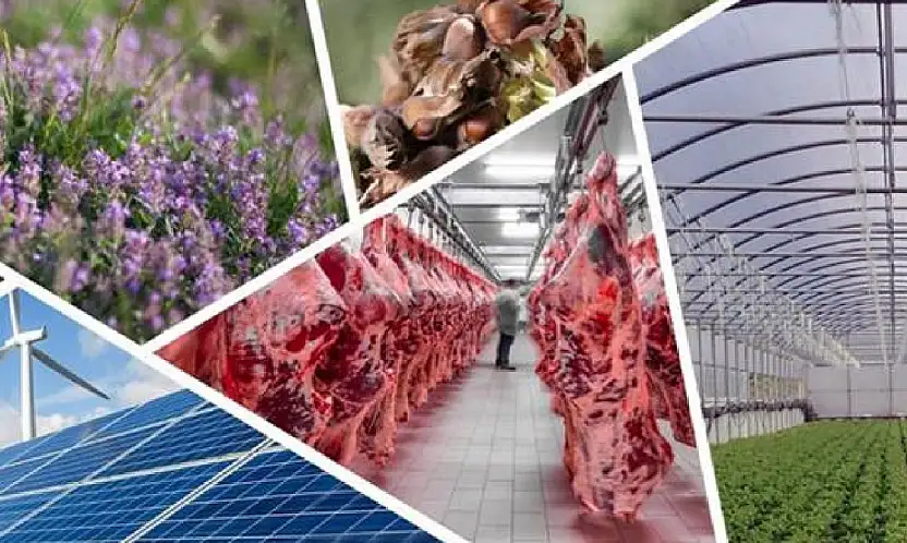 Kırsal Kalkınmada Yeni Dönem: Hibe Oranları %70'e Çıktı