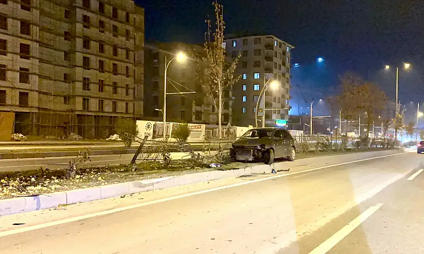 Köpeğe Çarpan Otomobil Kontrolden Çıkıp Refüje Çarptı