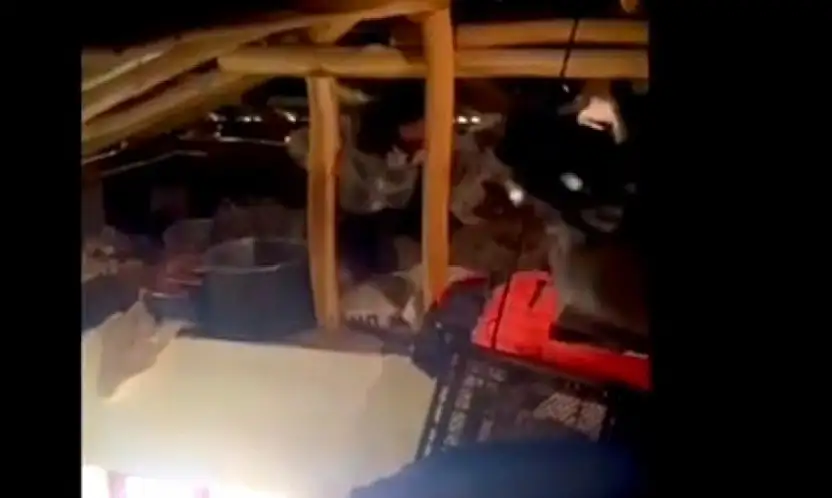 Kovancılar'da 13 Yıldır Aranan Hükümlü Gizli Bölmede Yakalandı