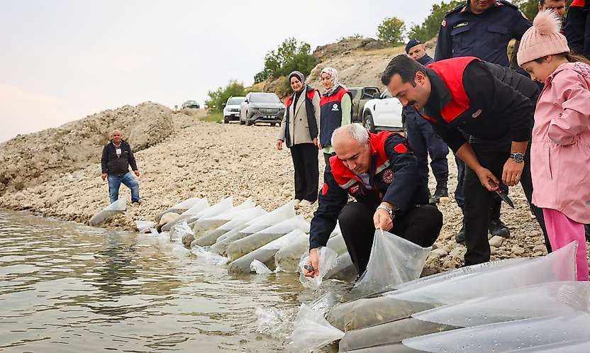 Malatya'da 6 İlçedeki Su Kaynaklarına 1 Milyon 300 Bin Sazan Yavrusu Bırakıldı