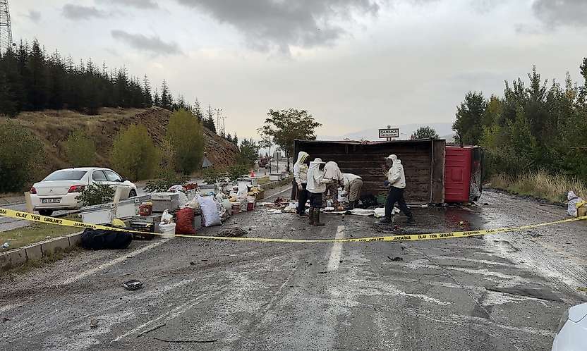 Malatya'da Arı Yüklü Kamyon Devrildi: 3 Yaralı