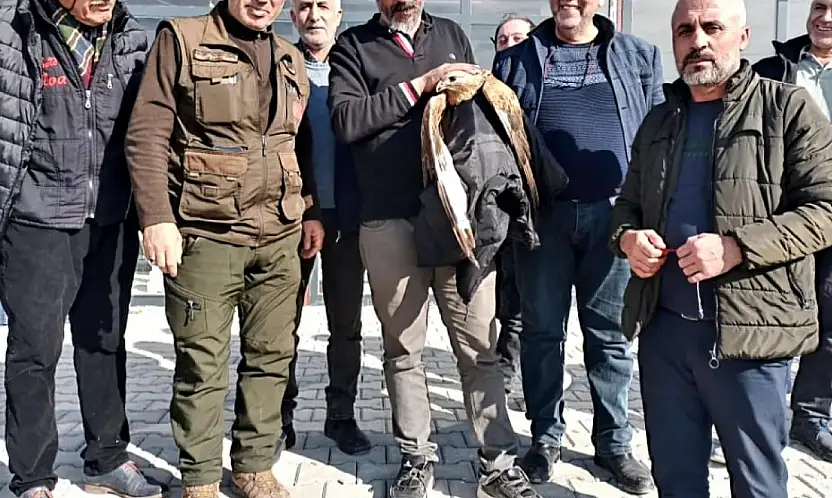 Malatya'da Duyarlı Vatandaşlar Yaralı Kızıl Şahini Kurtardı