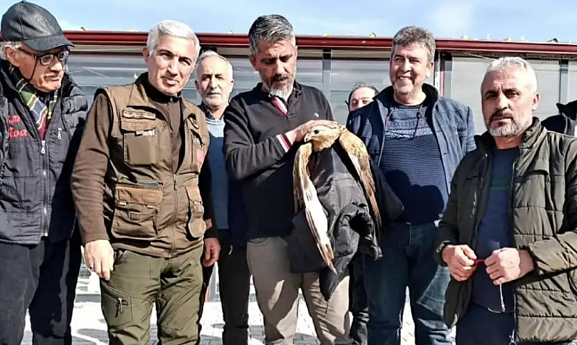 Malatya'da Duyarlı Vatandaşlar Yaralı Kızıl Şahini Kurtardı