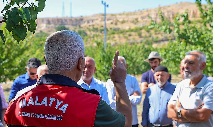 Malatya'da Kayısı Üreticilerine 'Tarla Okulu' Eğitimi