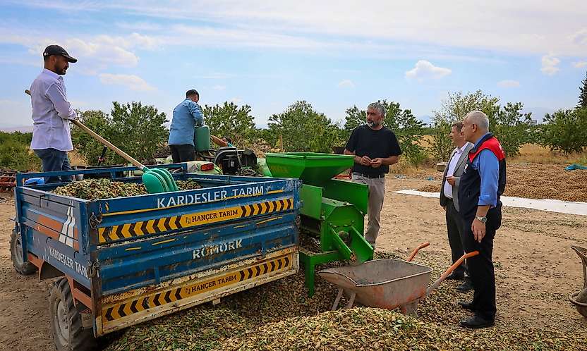 Malatya'da Kayısıya Alternatif Ürün: 45 Dönümlük Badem Bahçesinde Hasat Başladı
