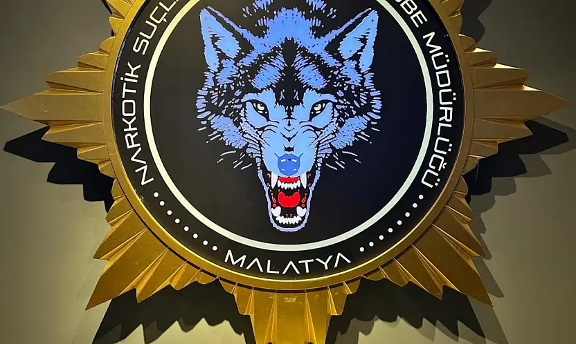 Malatya'da Narkotik Operasyonu: 1 Tutuklama