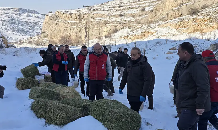 Malatya'da Yaban Hayvanlarına yem Desteği