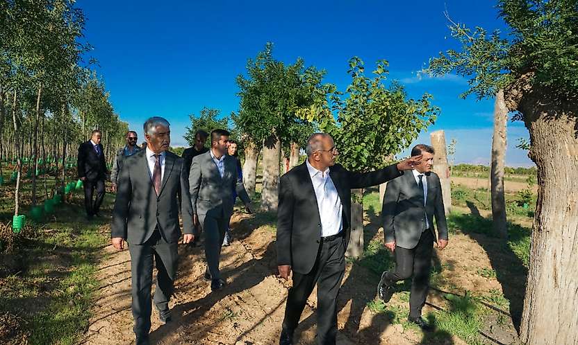 Malatya'da Yılda 20 Bin Fidan ve 50 Bin Metrekare Rulo Çim Üretiliyor