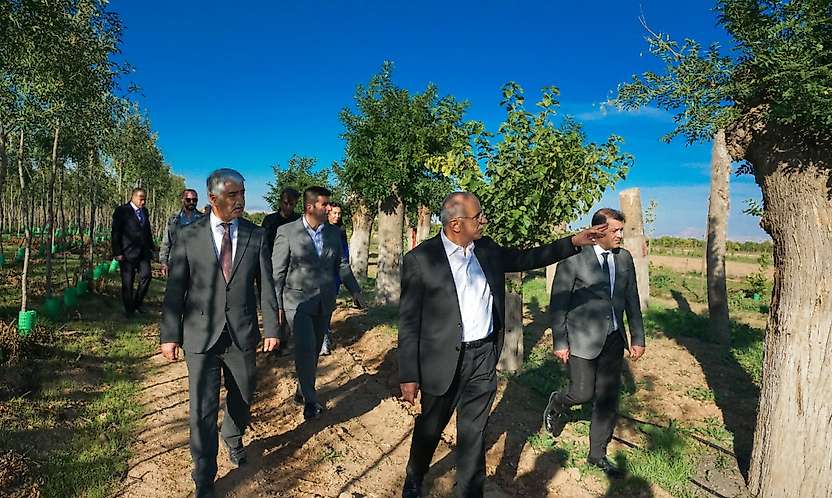 Malatya'nın Ağaçları Koruyan Uygulaması Türkiye Gündeminde!