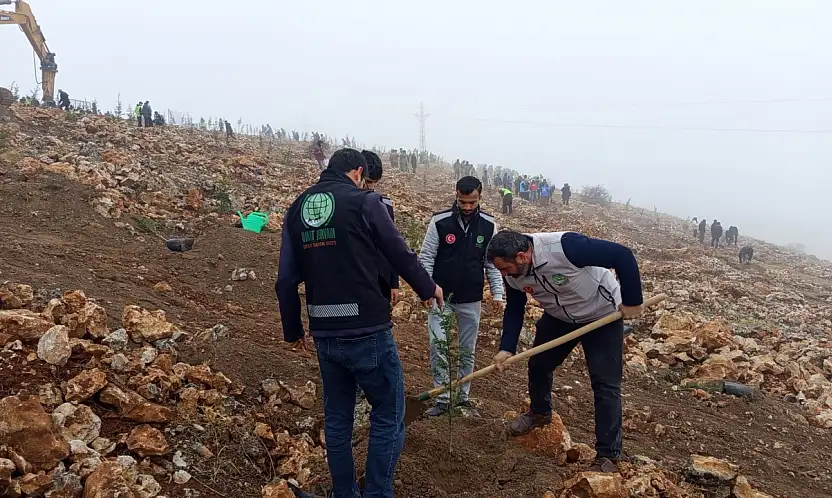 Malatya Umut Kervanı Derneği'nden Karagöz TOKİ Arkası Beydağı'nda Çam Fidanı Dikimi