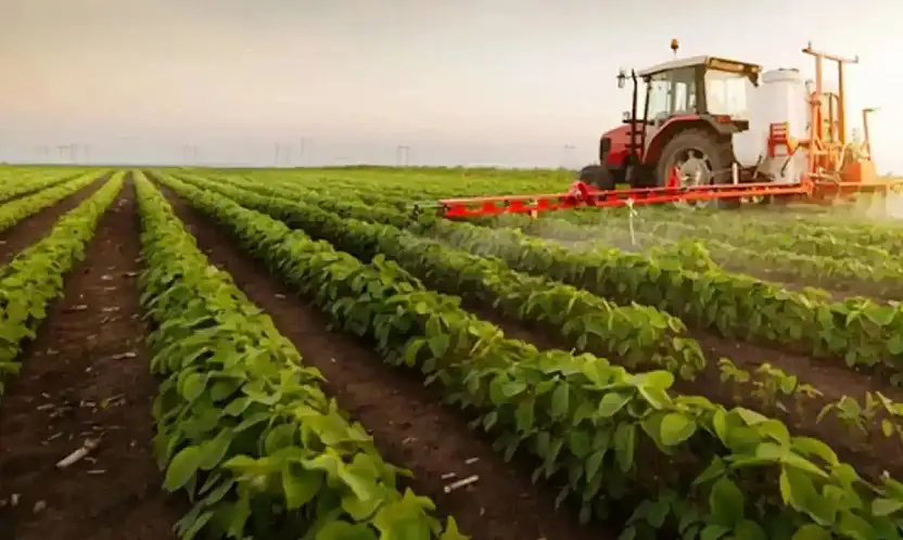 Sebze ve Kavun-Karpuzda Tarım ÜFE Aylık Yüzde 22,27 Arttı