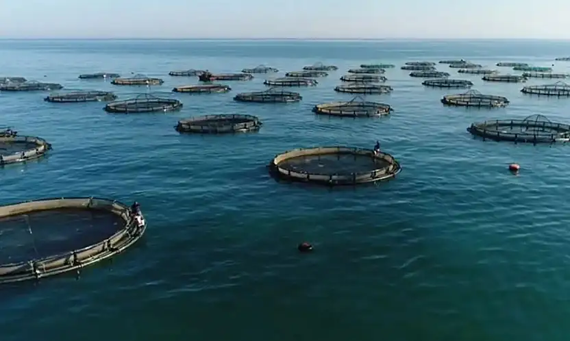 Su ürünleri avcılığı sözleşmeli üretim kapsamına alındı