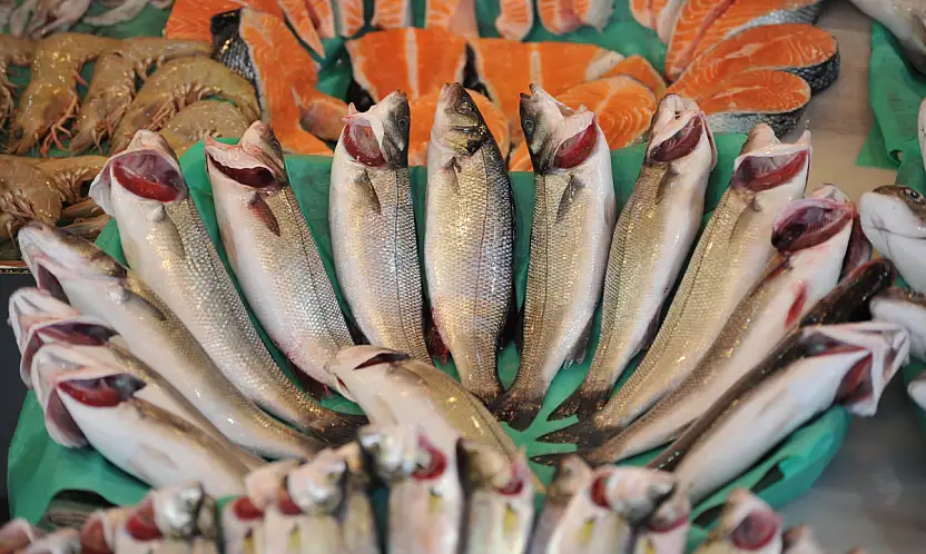 Su ürünleri ve hayvansal mamuller ihracatı 4 milyar doları aştı