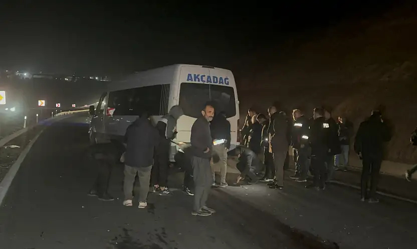 Sultan Suyu'ndan Kaçan Taylar Karayoluna Çıktı: 8 Tay Telef Oldu