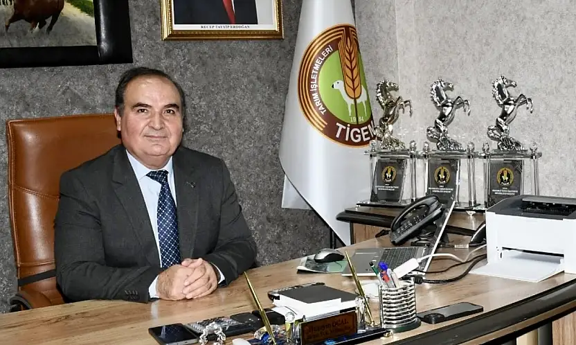 Sultansuyu'nda At Skandalı: Müdür Görevden Alındı, 2 İşçi İşten Çıkarıldı