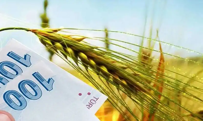 Tarım Destekleri Ödeniyor: 1 Milyar 623 Milyon TL Çiftçilere Aktarılacak