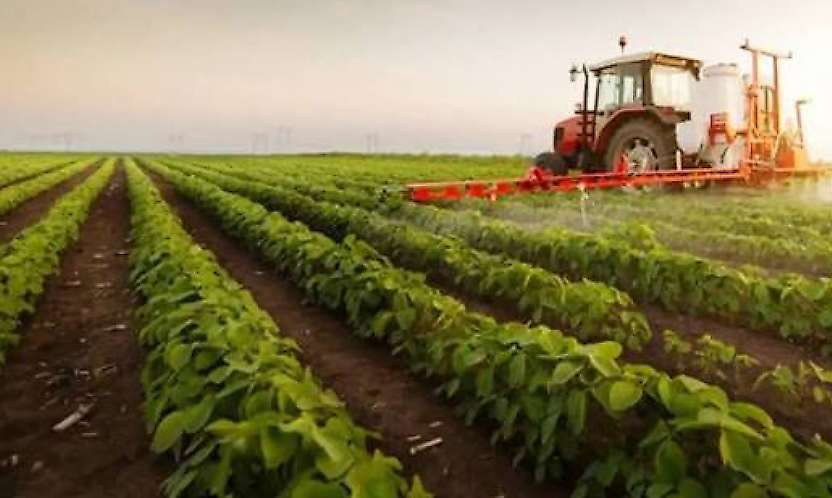 Tarım Ürünlerinde Üretici Fiyatları Ağustos'ta Düştü