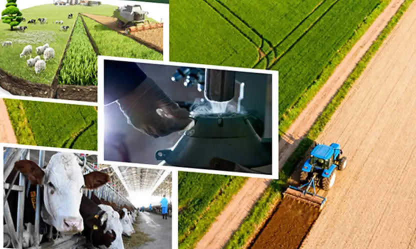 Tarımsal Destek Ödemeleri Üreticilere Ulaşıyor