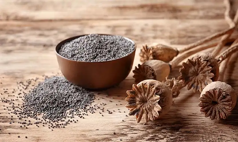 TMO'dan Mavi Haşhaş Tohumu Satışı