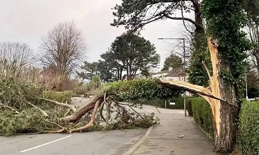Türkiye'nin Batısında Kuvvetli Rüzgâr Bekleniyor