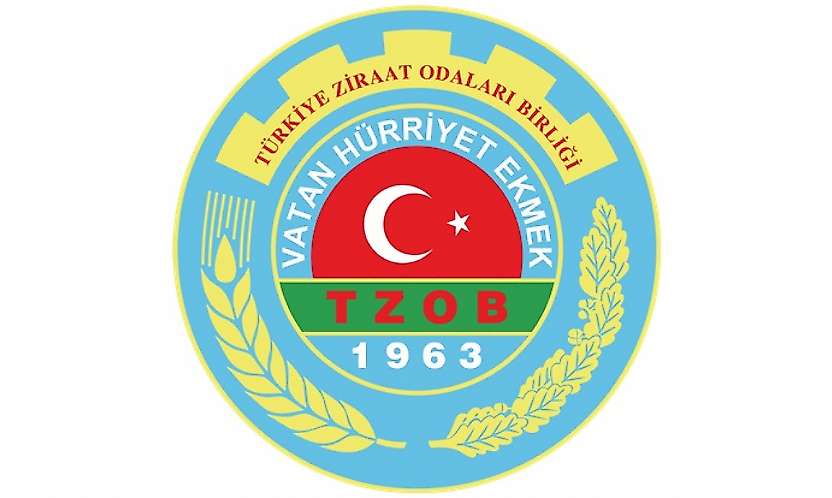 TZOB Açıkladı: Ekim Ayında Limonun Üretici ve Market Fiyatı Arasında Uçurum Oluştu!