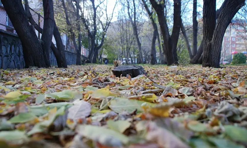 Ülke genelinde yağış beklenmiyor