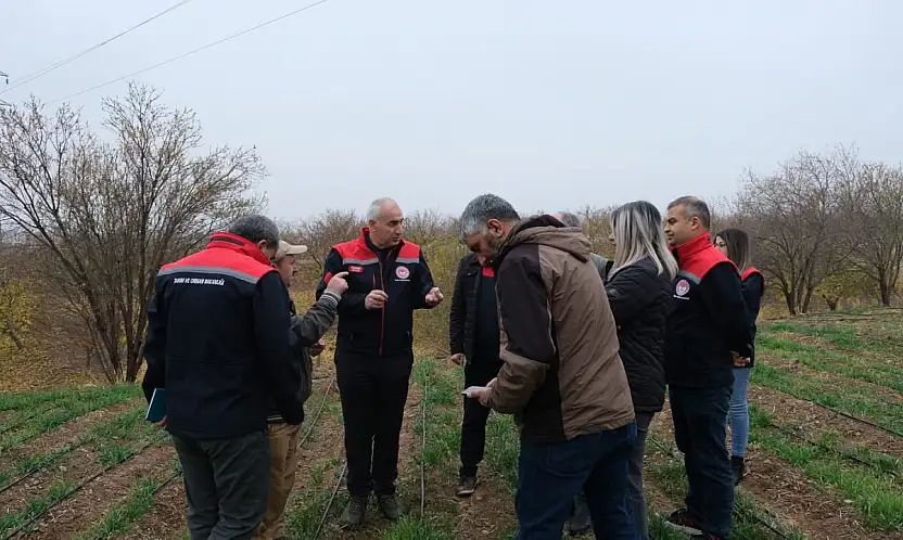 Yarımcahan'da Safran Atağı: Dekarda 900 Gram Başarı