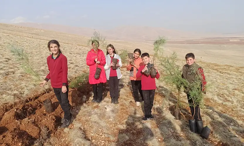 Yeniköy'de Çevre Seferberliği: 3 Bin Fidan Toprakla Buluştu