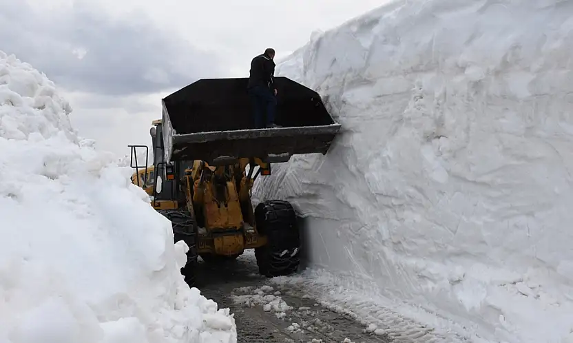 Yoğun Kar Yağışı: Düzce'de 224 Santimlik Rekor