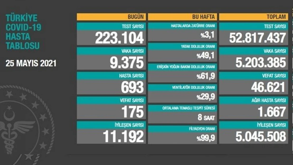 175 kişi Hayatını Kaybetti